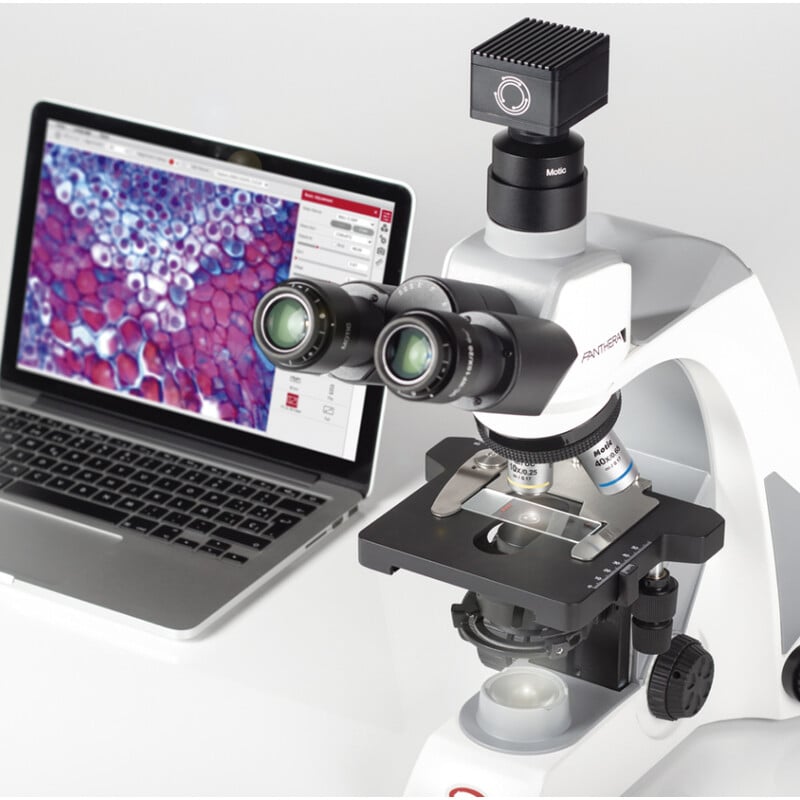 Motic Microscoop Panthera E2, trinoculair, HF, INFINITY, plan achro., 40x-1000x, vast Koehl.LED