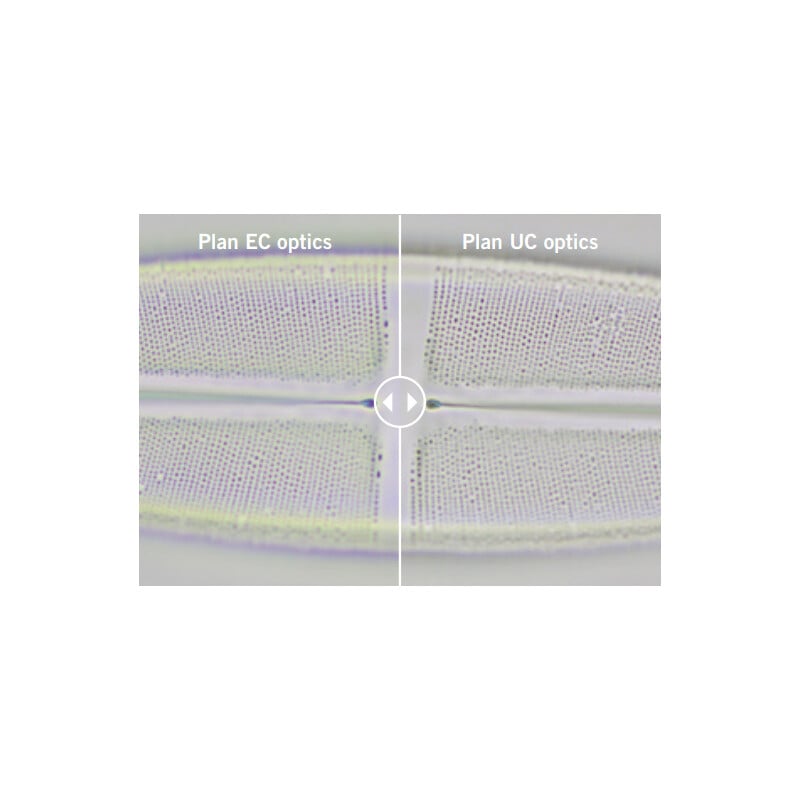 Motic Microscoop Panthera E2, trinoculair, HF, INFINITY, plan achro., 40x-1000x, vast Koehl.LED