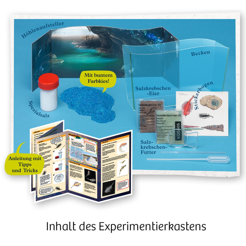 Kosmos Verlag Fun Science Wuselnde Salzkrebse