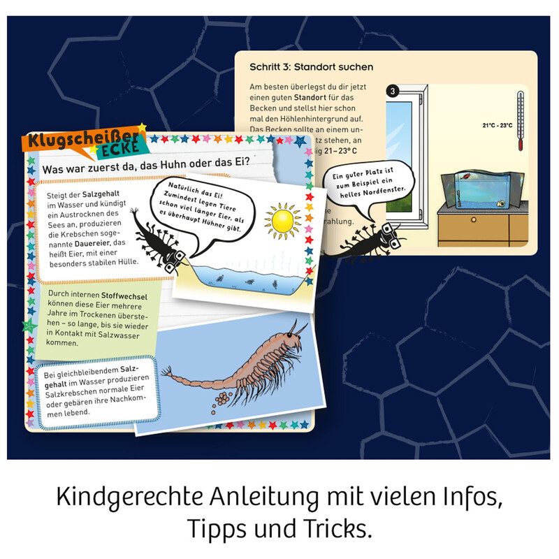 Kosmos Verlag Fun Science Wuselnde Salzkrebse