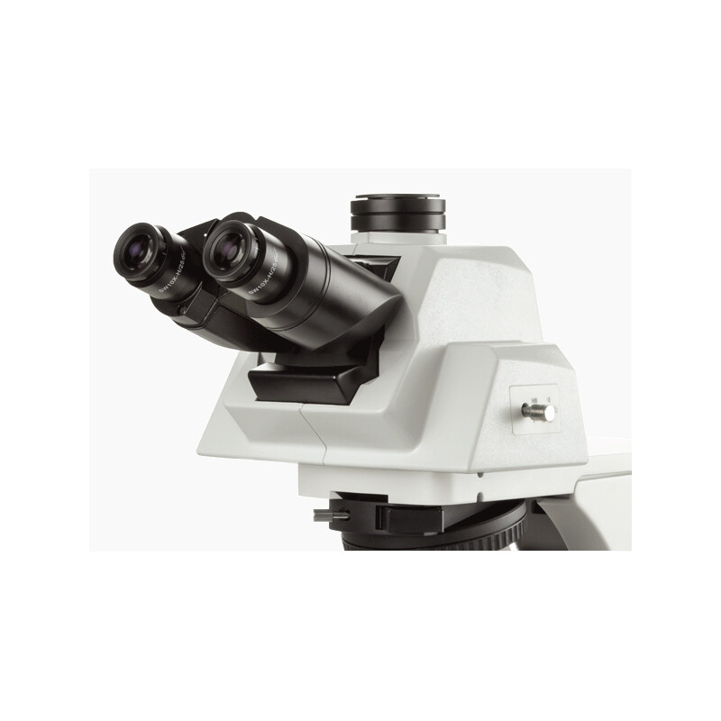 Euromex Microscoop Delphi-X, DX.2158-APLi, trino, 40x - 1000x, plan apochromatisch, met ergonomische kop en 100W halogeen verlichting. kop en 100W halogeen Belichting