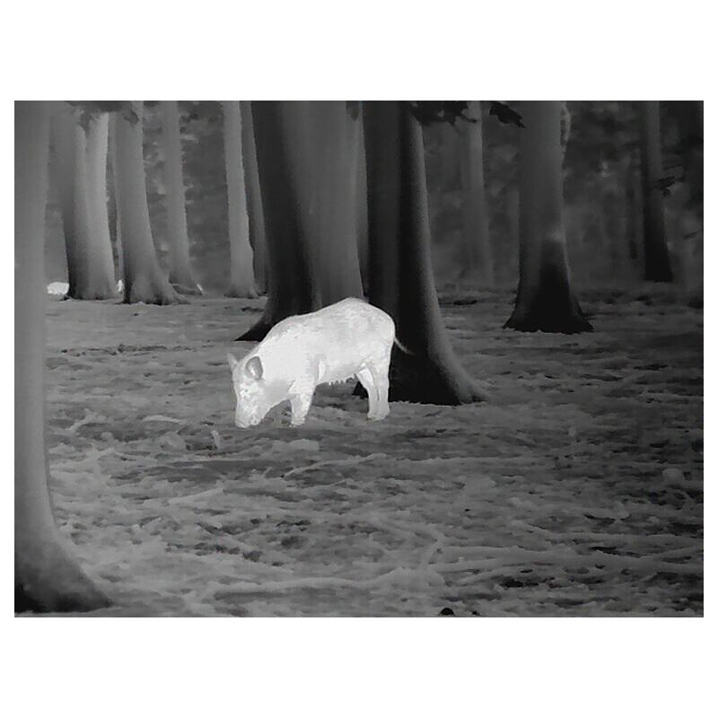 Leica Warmtebeeldcamera Calonox View