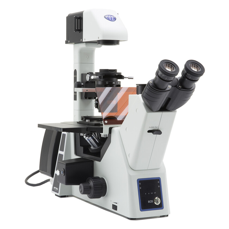 Optika microscoop IM-5FLD-EU, trino, omgekeerd, FL-LED, w.o. objectieven, EU