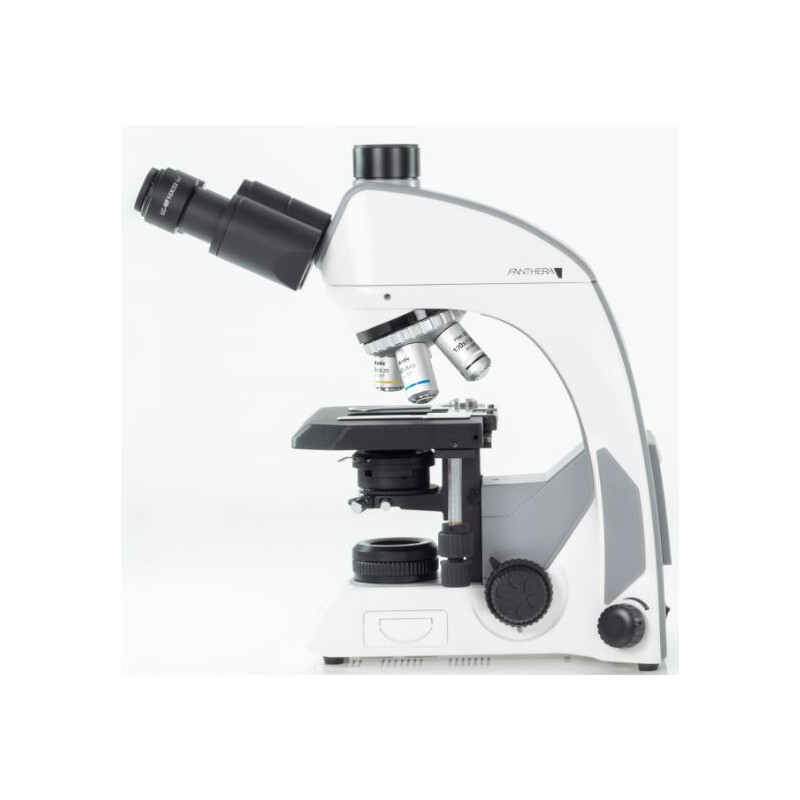 Motic Microscoop Panthera C, trino, infinity, plan, achro, 40x-1000x, Halogen