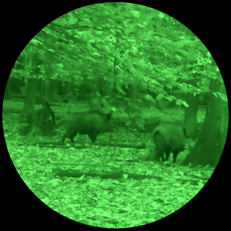 Lahoux Nachtkijker Hemera Standaard + Groen