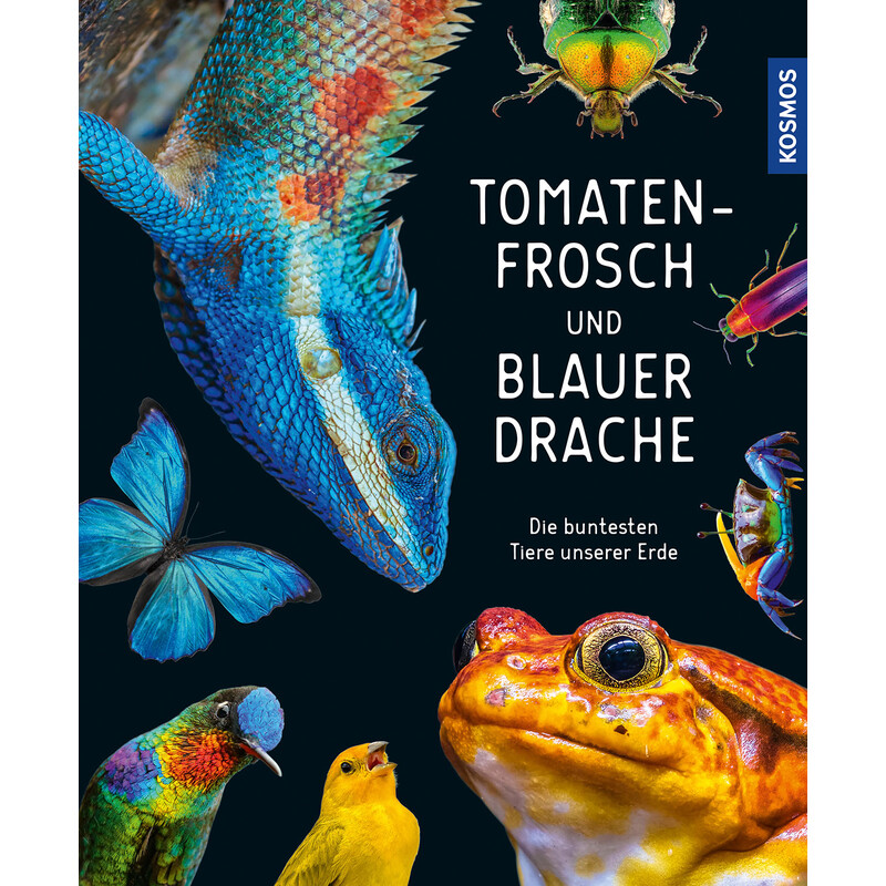 Kosmos Verlag Tomatenfrosch und blauer Drache