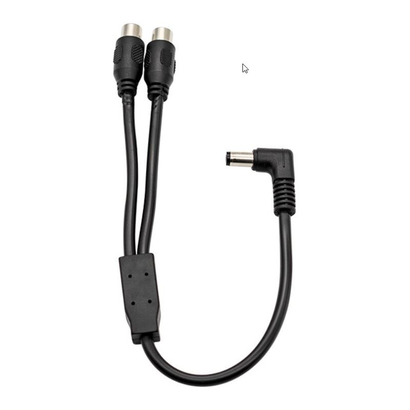 ZWO DC Y gesplitste kabel (tonconnector naar RCA)