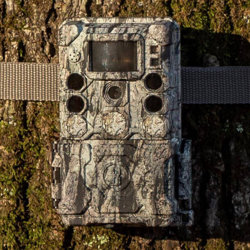 Bushnell Wildlife camera 30MP CORE 4KS Boomschors Camo No Glow, Box 5L