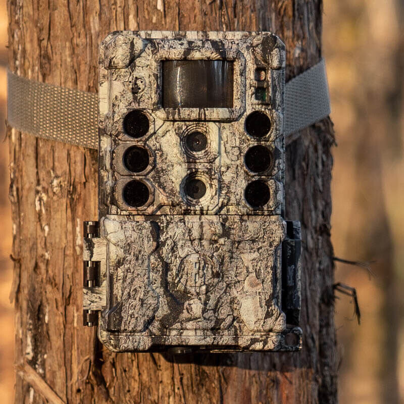 Bushnell Wildlife camera 32MP CORE DS4K Boomschors Camo No Glow, Box 5L