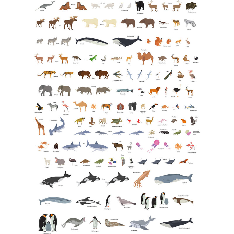 GeoMetro Kinderkaart De wereld van dieren (84 x 60 cm)
