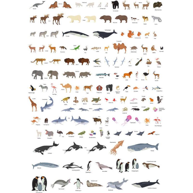 GeoMetro Kinderkaart Die Welt der Tiere (84 x 60 cm)