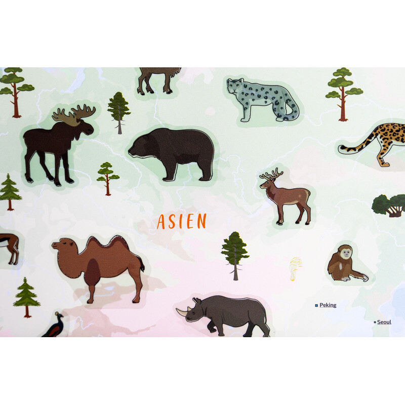 GeoMetro Kinderkaart De wereld van dieren (84 x 60 cm)