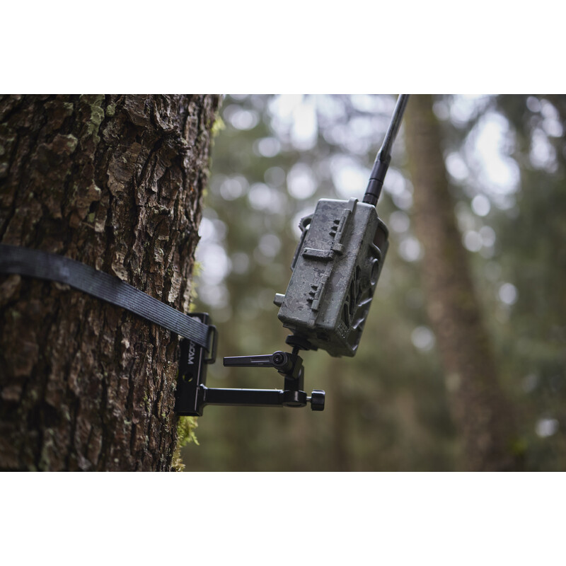 ZEISS Wildlife camera Set Secacam 5 & metalen behuizing (set van 2)
