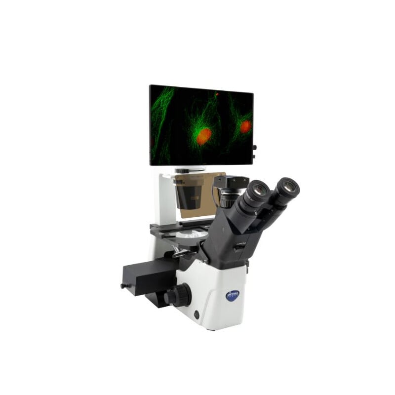 Omgekeerde microscoop IM-300LD4D Digital Inverted LED fluorescence microscope, 400x, IOS LWD PLAN F, 4 empty filterset slots