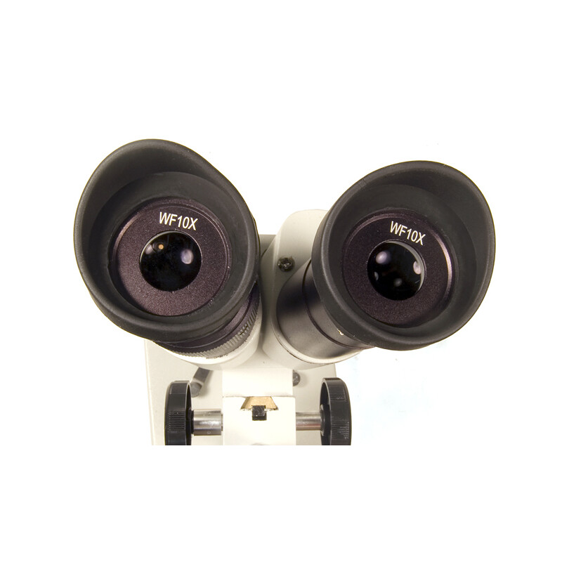 Levenhuk Stereo microscoop 2ST 40x
