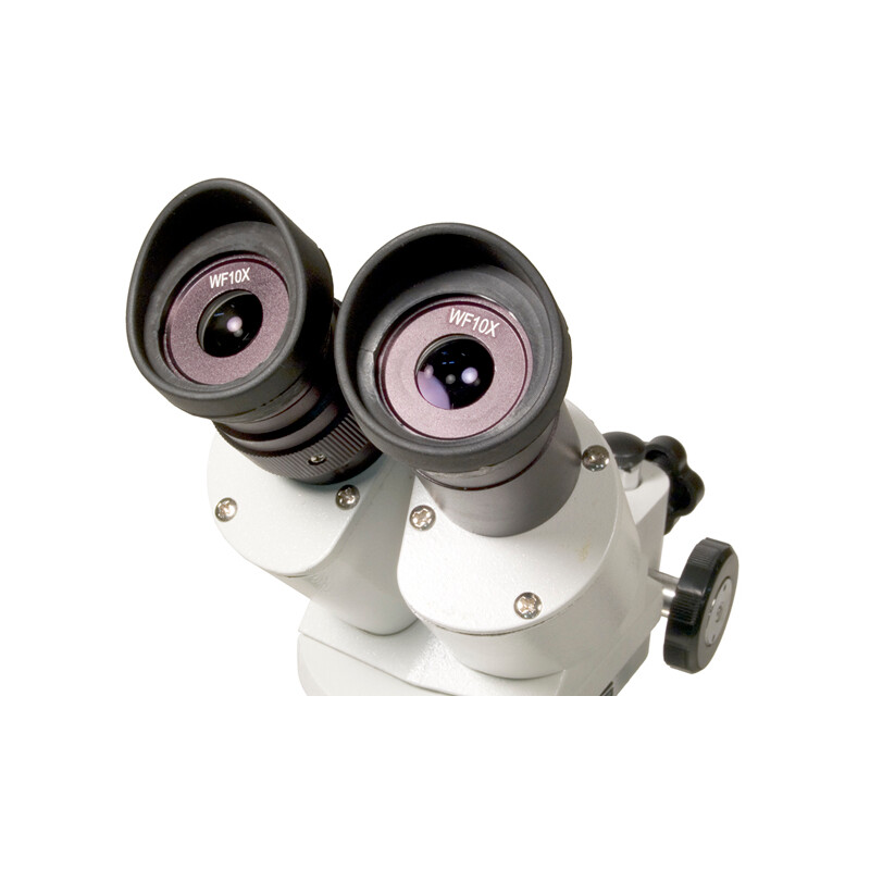 Levenhuk Stereo microscoop 3ST 20-40x Halogen