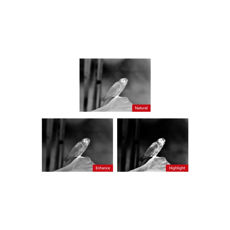 Guide Warmtebeeldcamera TN430
