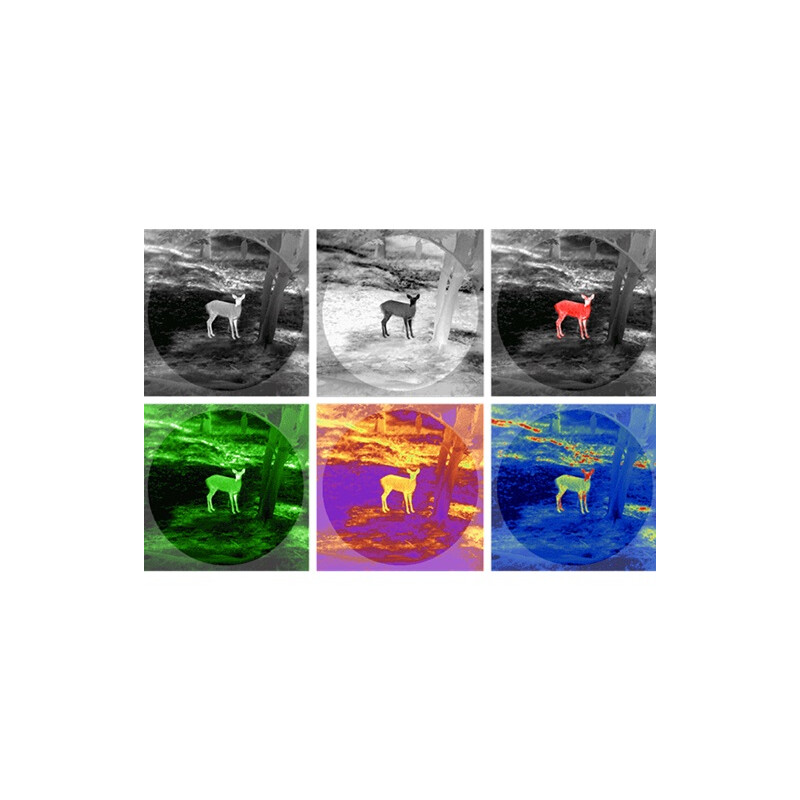 Guide Warmtebeeldcamera TN430