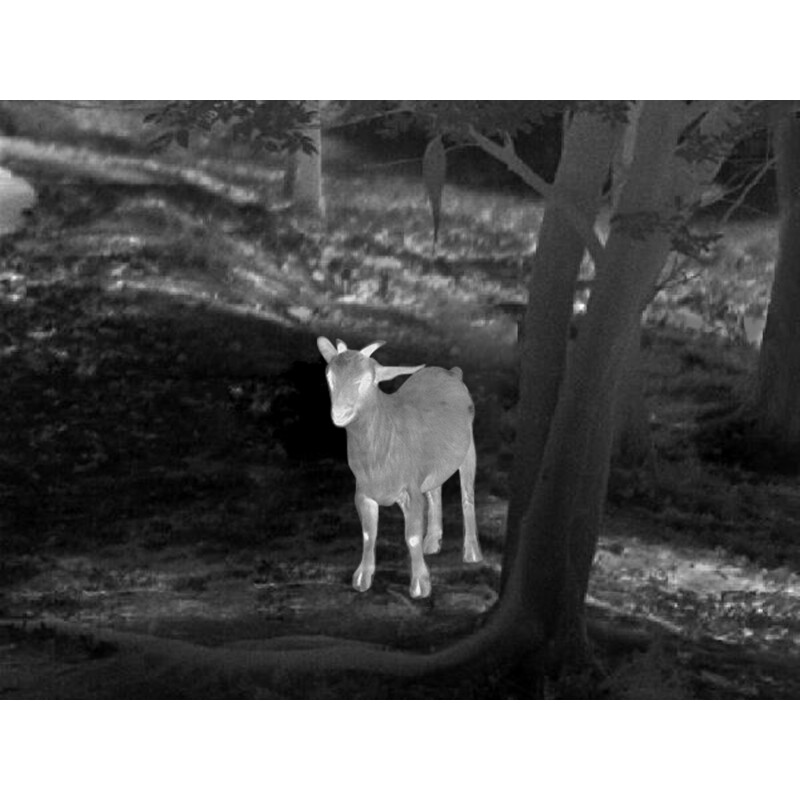 Guide Warmtebeeldcamera TD633L