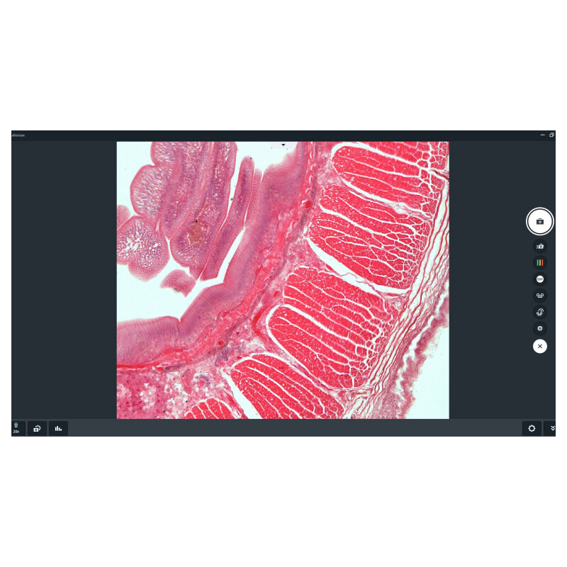 ZEISS software Labscope module Multi Channel DLic
