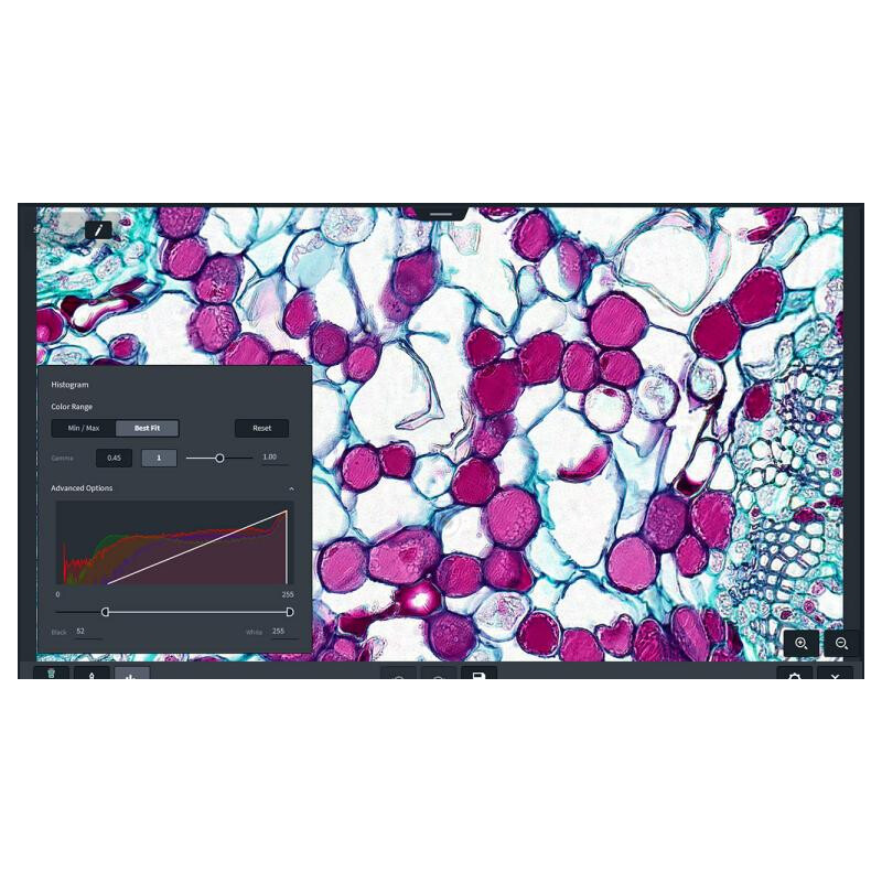 ZEISS software Labscope module Multi Channel DLic