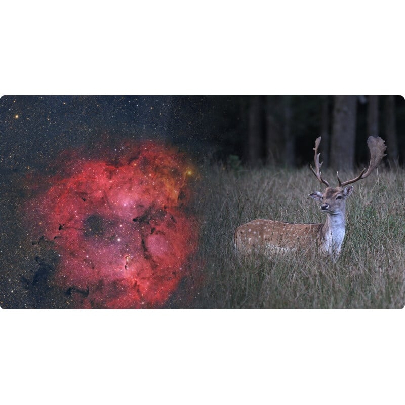 ToupTek Apochromatische refractor HOPE D60 60/280 kantelmechanisme