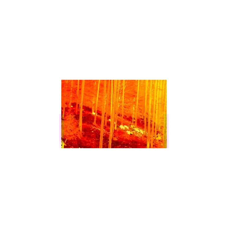 NiteHog Warmtebeeldcamera Viper 50 NXT