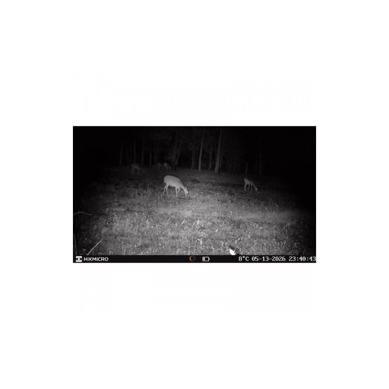 HIKMICRO Wildlife camera T16