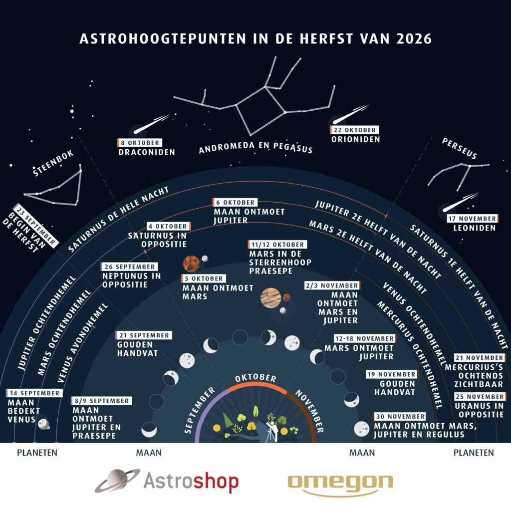 Infographic